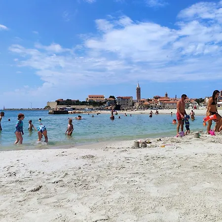 With Wifi Rab - 14427 * Palit